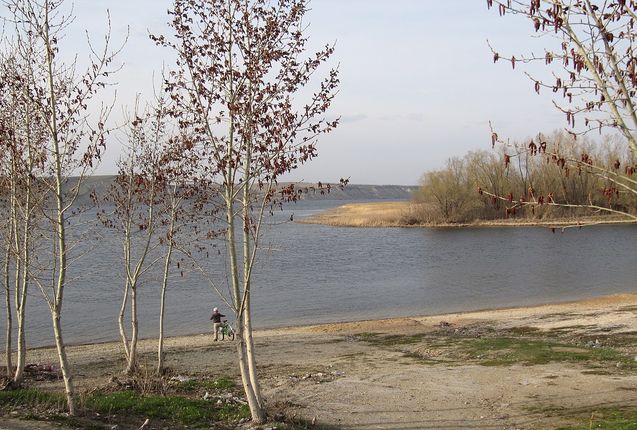 «Росавтодор» поможет Саратовской области закончить путепровод в Татищевском районе